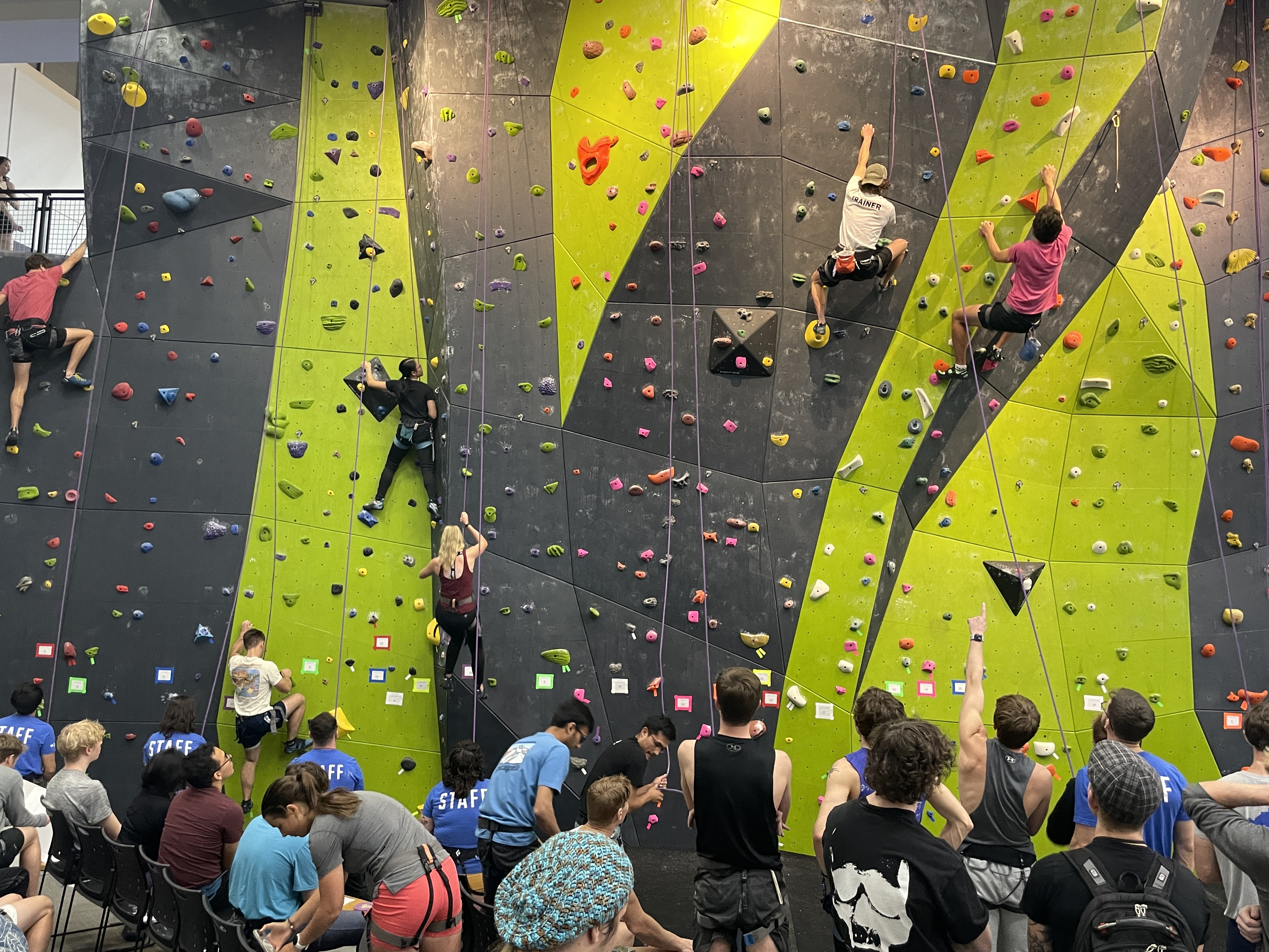 Multiple individuals participating in climbing. Five people are actively climbing on the wall while a crowd below watches