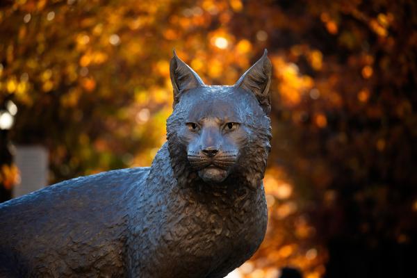 The camera focuses on the dark brown Bowman cat statue on a backdrop of unfocused autumn foliage.