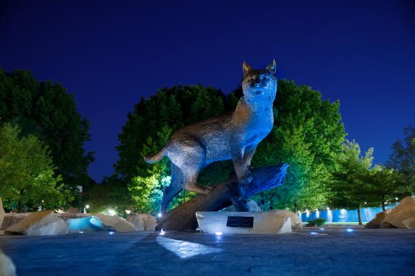 Bowman statue lit in blue lights at night