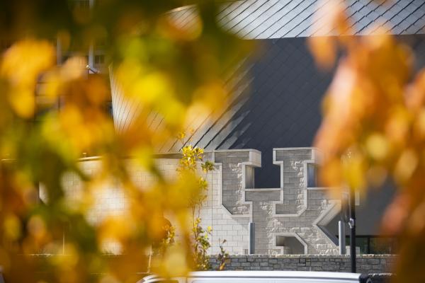 Gatton Student Center and a UK statue in the background of this photo behind a foreground of blurry orange and yellow fall leaves.