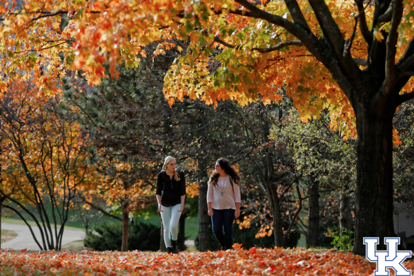 Two students walk through colorful fall leaves under a tree as they engage in conversation.