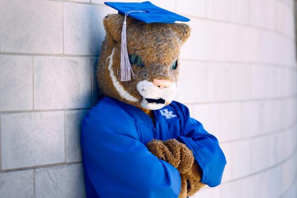 Wildcat mascot in cap and gown
