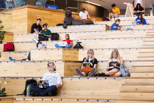 Students sitting on stairs with wildcat statue.