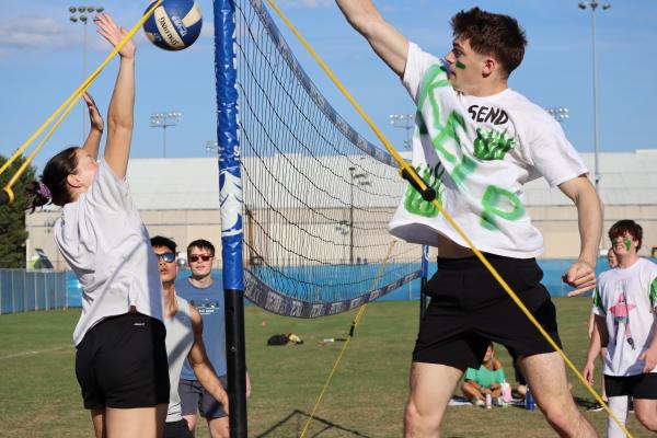 Grass Volleyball