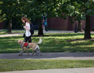 Student walking with dog on campus