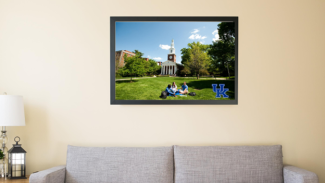 picture of group of people on a lawn