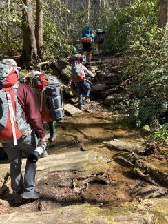 Hiking the trail 
