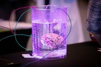 brain station at curiosity fair