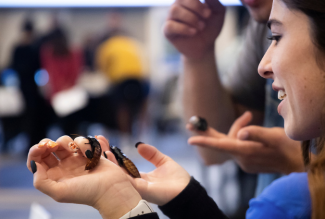 students holding madagascar cockroaches