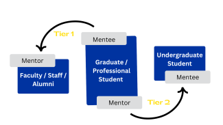 Tier 1 = Mentor (Faculty/Staff/Alumni) and Mentee (Grad/Prof. Student); Tier 2 = Mentor (Grad/Prof. Student) and Mentee (Undergrad Student) 