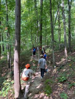 Hiking through the woods