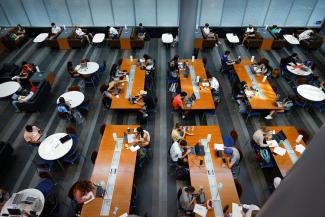 Students studying together