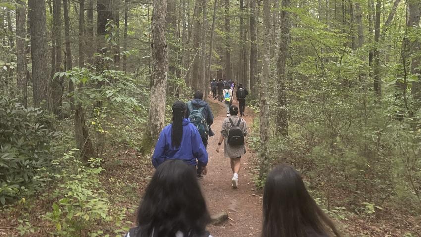Group of students hiking in Red River Gorge