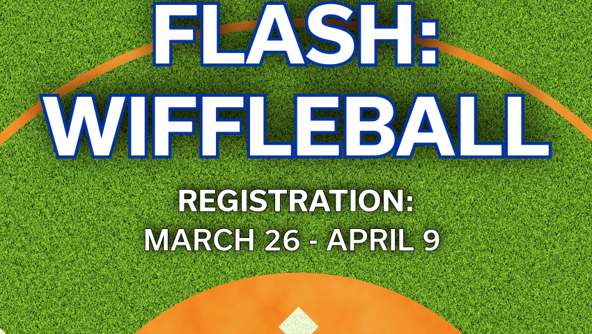 IM Flash Wiffleball