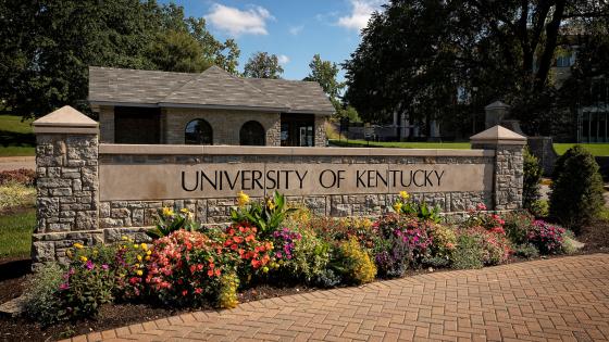 University Academic Advising