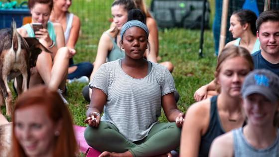 students doing yoga