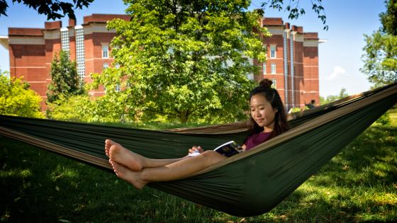 student in a hammock on campus