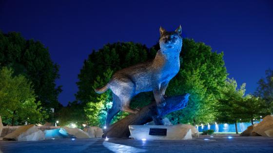 Bowman statue lit in blue lights at night