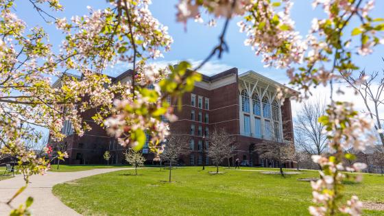 A side view of the Young Library, through the spring sunlight and cherry blossoms