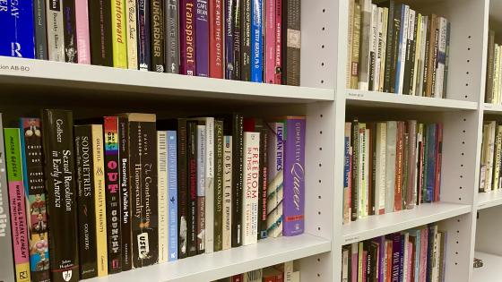 Shelves of books about various LGBTQ* topics.