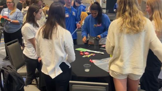Students problem solving