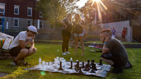 Students playing chess on the grass