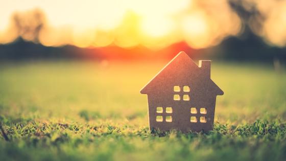 Tiny cardboard house sits in the grass