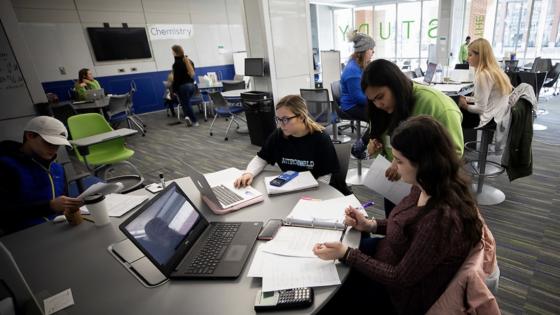 Peer Tutor at The Study assisting students