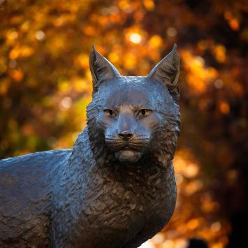 The camera focuses on the dark brown Bowman cat statue on a backdrop of unfocused autumn foliage.